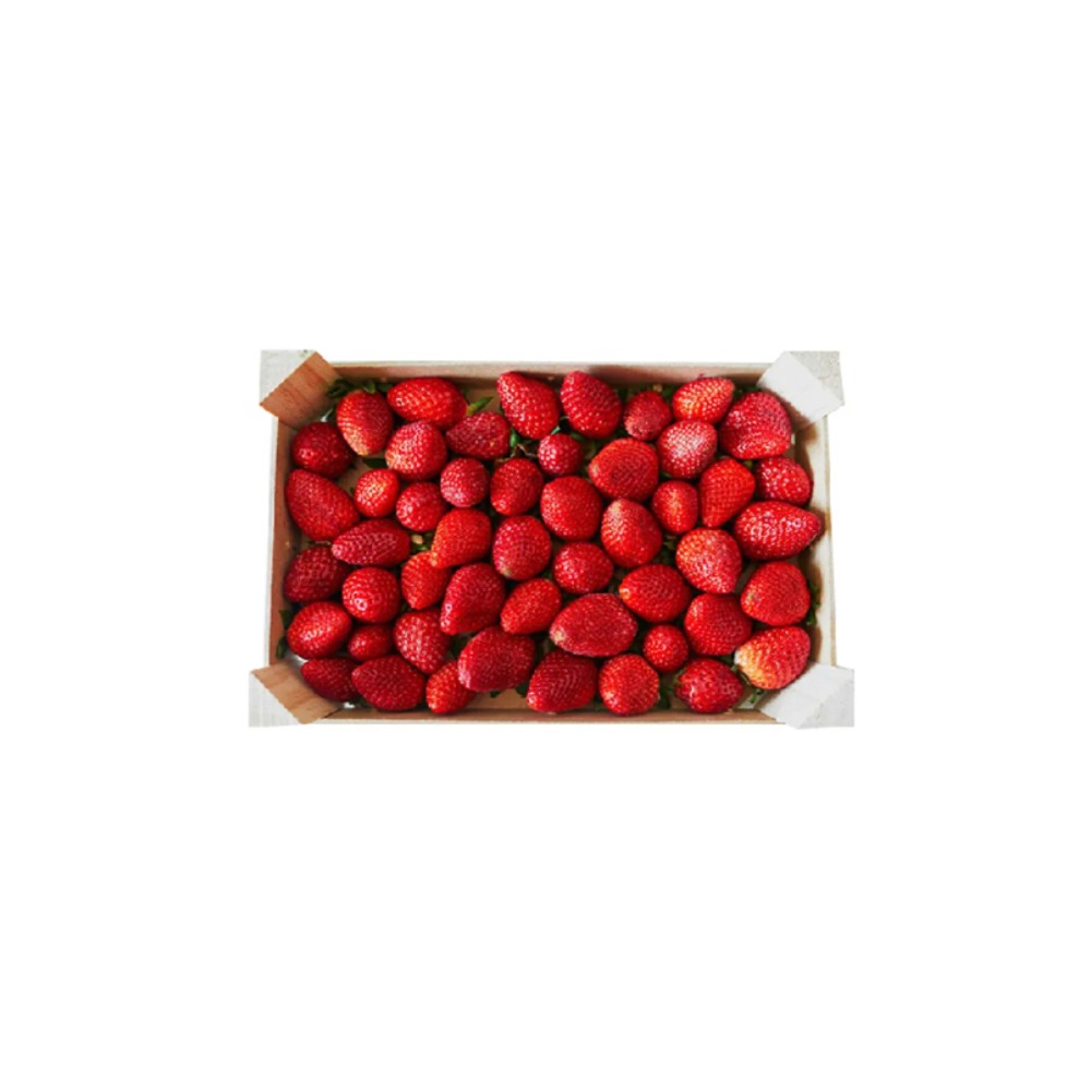 Strawberry morocco 1 kg  فراوله مغربي