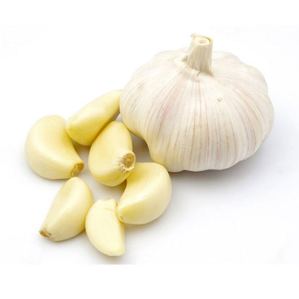 Garlic Pure White -  ثوم أبيض بيور