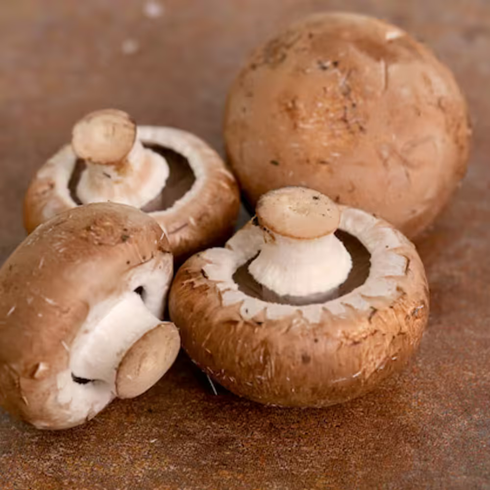 Mushroom Brown "Saudi" 250 gm - مشروم بني سعودي