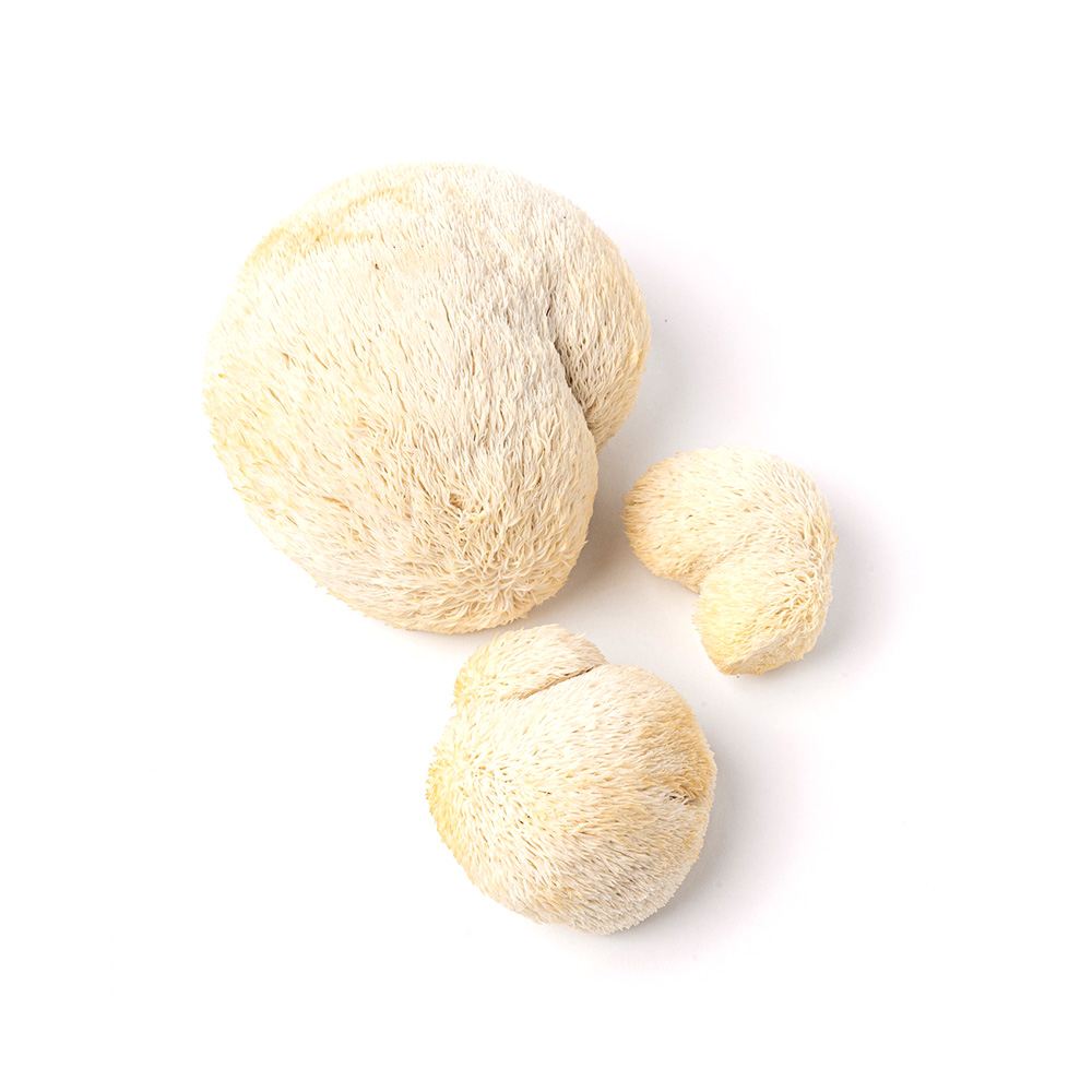 Lions Mane Mushroom 100g
