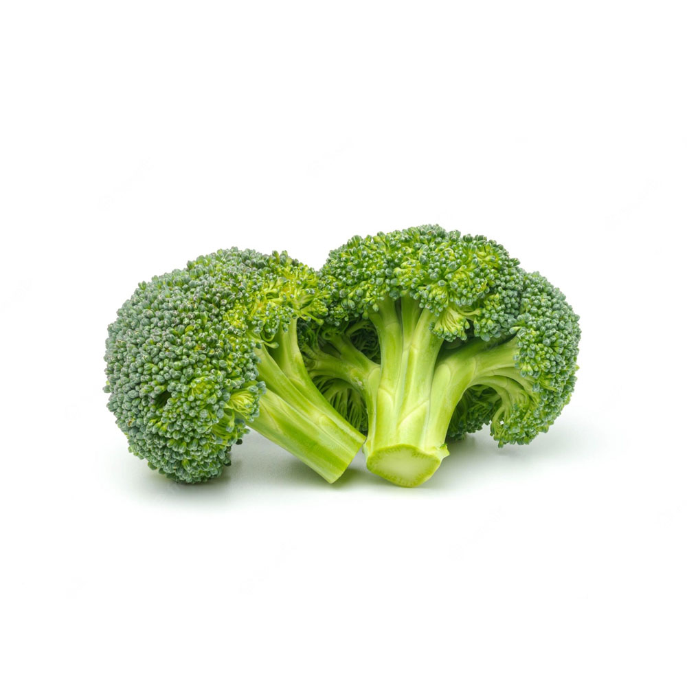 Broccoli Spain/Holland - بروكلي اسباني/هولندا