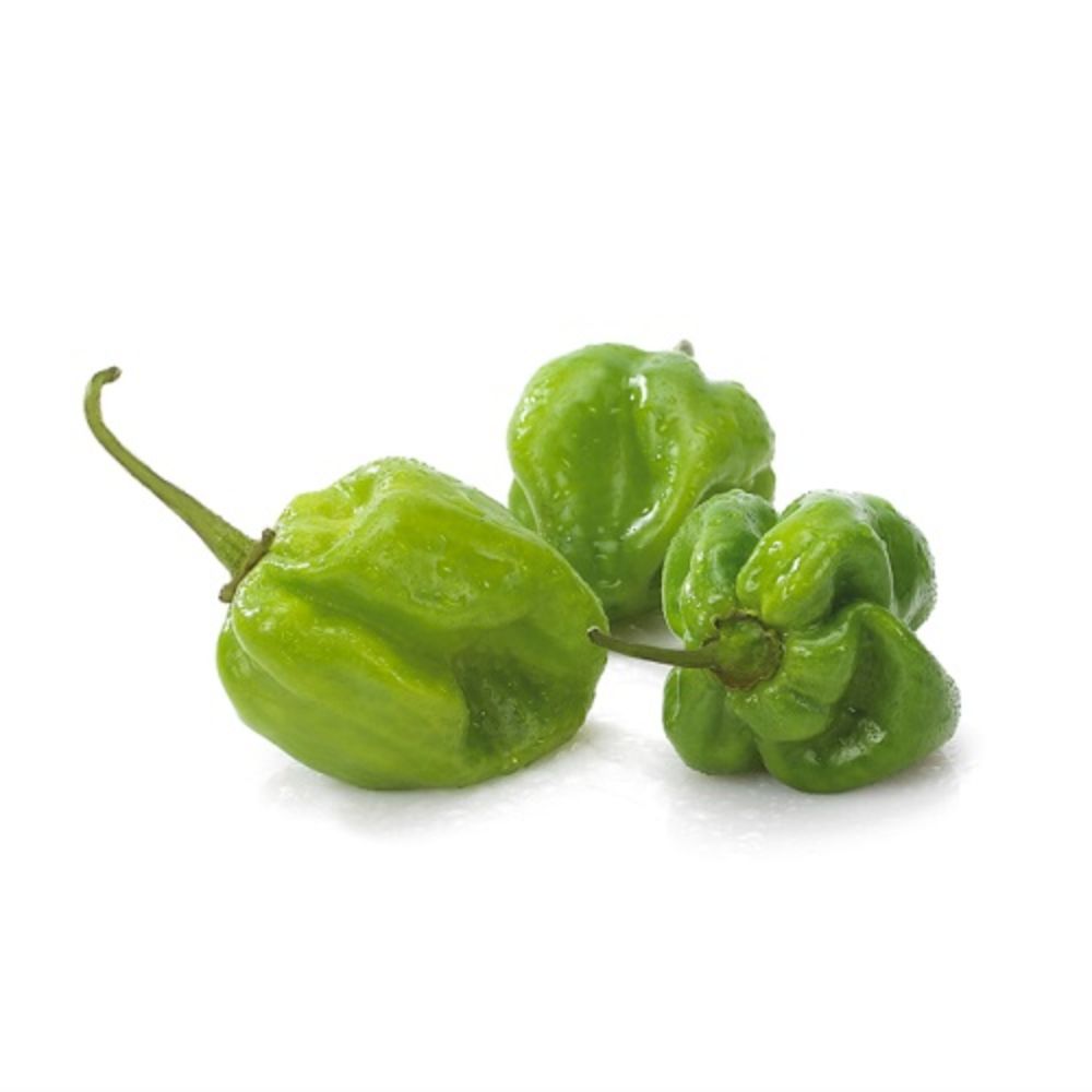 Chilli Habanero Green 250 gm