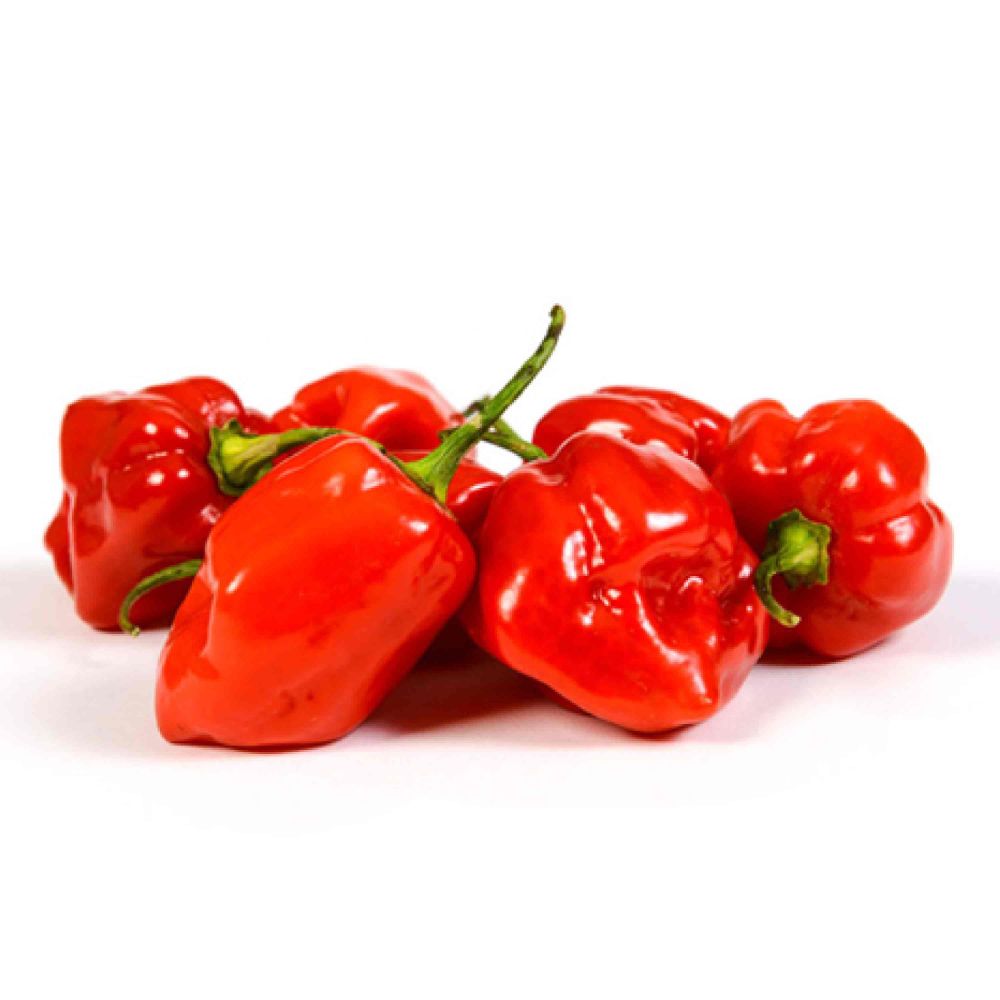 Chilli Habanero Red 250 gm