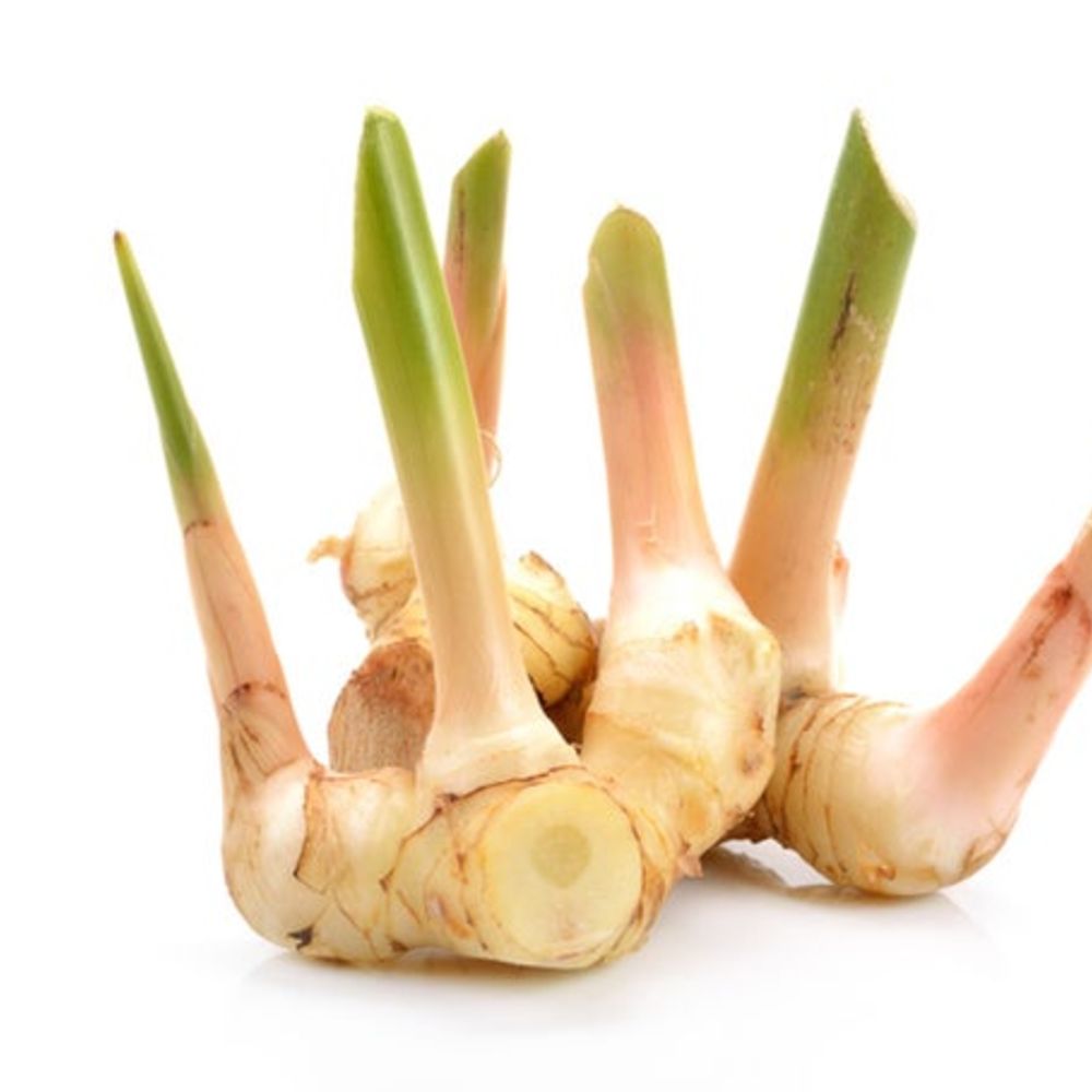 Galangal 500 gm - جلنجل