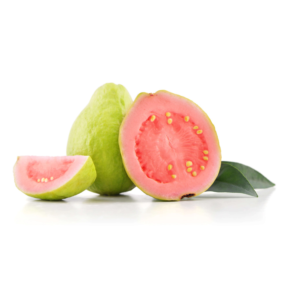 Pink Guava Columbia Pkt