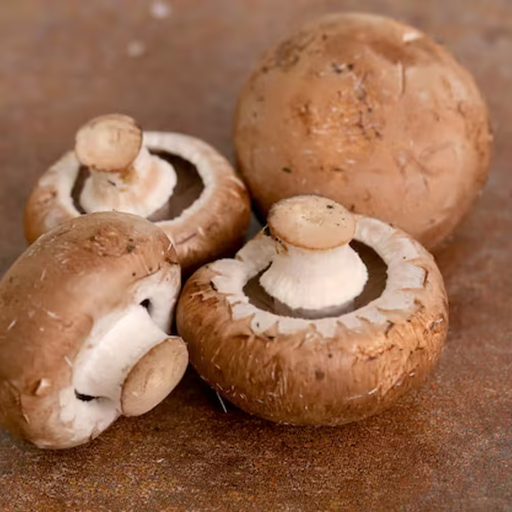 [2115] Mushroom Brown 250 gm - مشروم بني هولندي