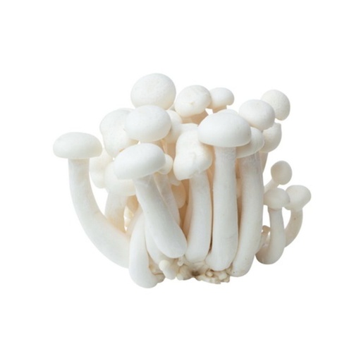[2126] Mushrooms Shimeji White 125 gm - باكيت مشروم شيمجي أبيض صيني