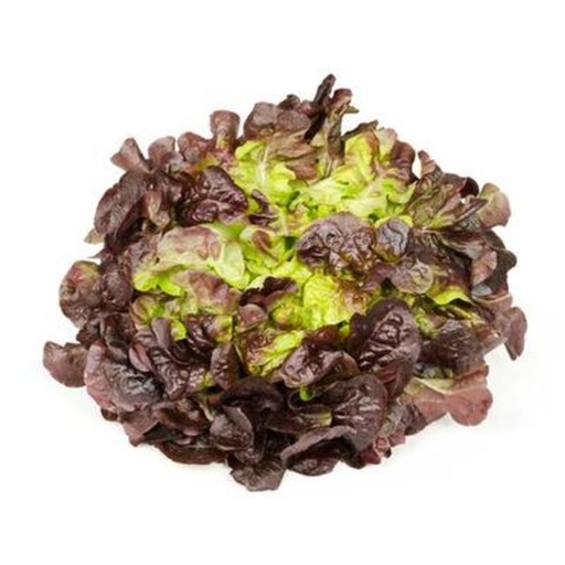 [2319] Oakleaf Lettuce 200 gm