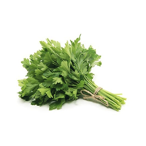 [3051] Parsley Leaves 250 gm