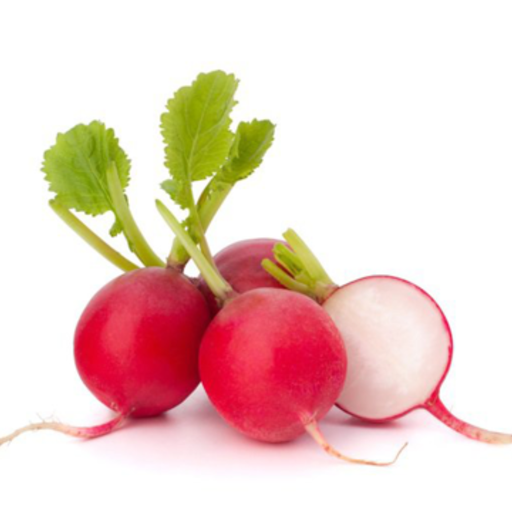 [2021] Radish Red 125 gm Holland - فجل أحمر هولندي