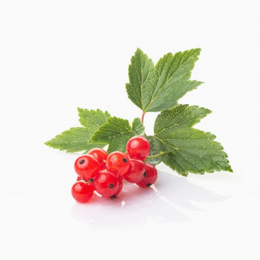 [1015] Red Currant 125 gm - كرنت أحمر هولندي/شيلي