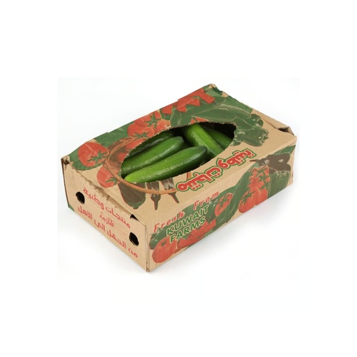 [2904] Cucumber Box 2 kg
