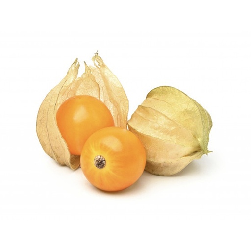 [1317] Physalis 100 gm حرنكش باكيت