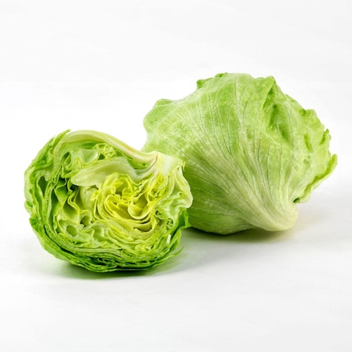[2543] Lettuce Iceberg USA/Spain (Pc)