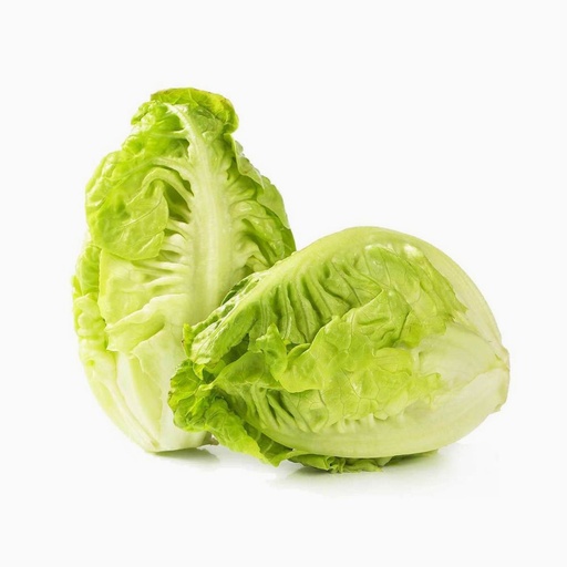 [2096] Lettuce Baby Gem Spain/Italy "6pc" - خس بيبي جيم اسباني