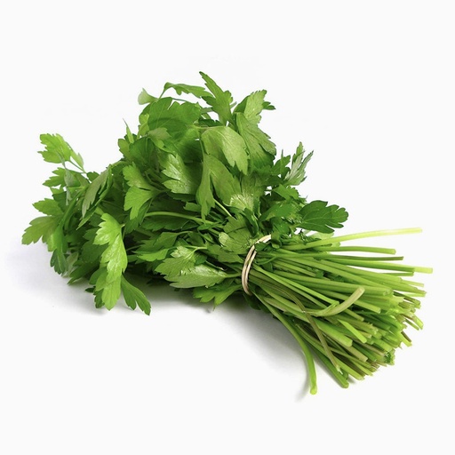 [3100] Coriander Leaves 250 gm