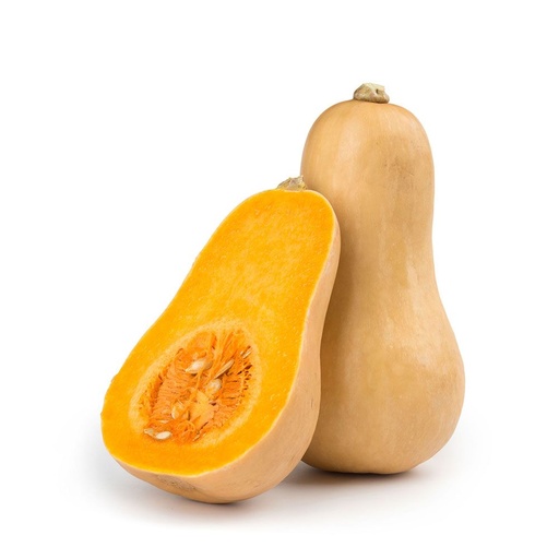 [2161] Butternut Squash - قرع طويل