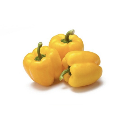 [2042] Capsicums Yellow Spain/Holland - حلوة صفراء إسبانيا/الهولندي