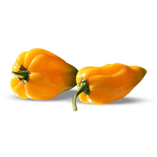 [2283] Chilli Habanero Yellow 250 gm