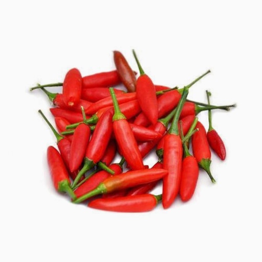 [2241] Chilli Rawit Red 100 gm Thailand - فلفل حار أحمرتيلاندي باكيت