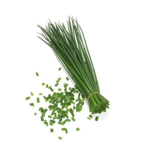 [3045] Chives Holland 100 gm