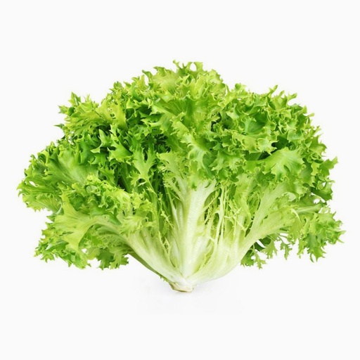 [2348] Lettuce Frisse Yellow 500 gm